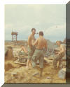 Hawk,pic,little Willie